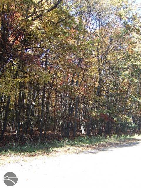 00 Rumsey Rd, Au Gres, MI 48703 - photo 3