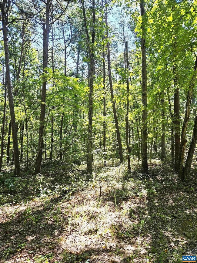 0 Constitution Hwy unit 644383, Orange, VA 22960 - photo 3