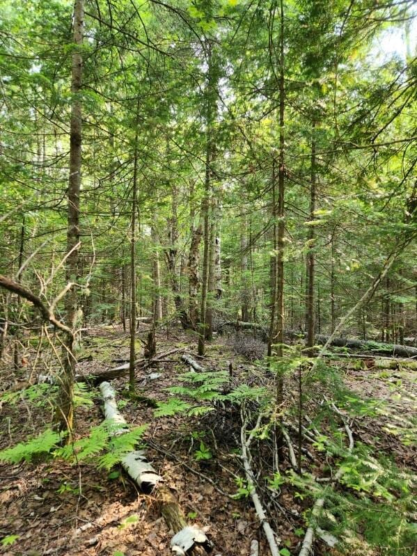 0 W Cedar Dr unit 24-1105, Sault Ste Marie, MI 49783 - photo 6