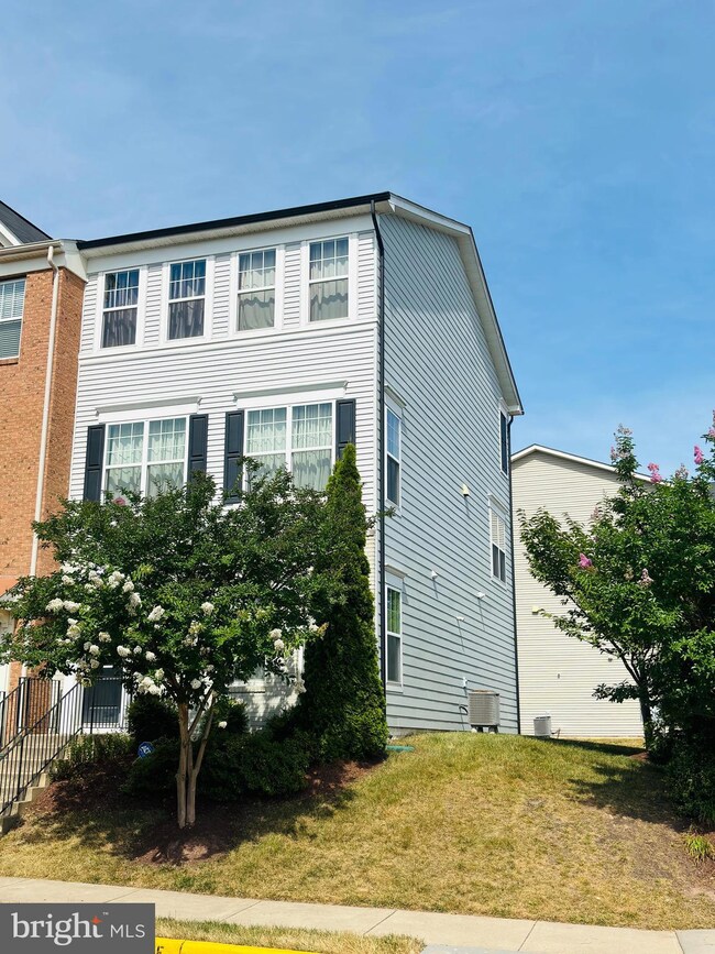 44029 Peirosa Terrace, Chantilly, VA 20152 - photo 3