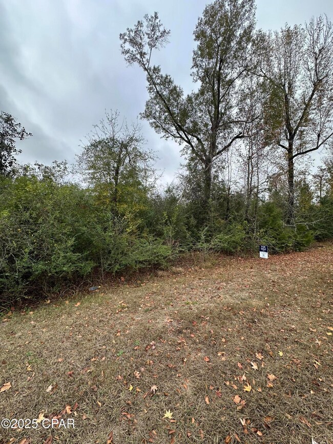 0 Alliance Rd unit 782243, Marianna, FL 32448 - photo 2