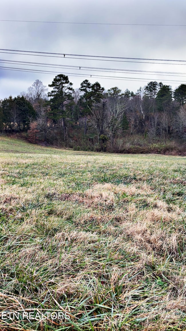 0 Campbells Point Rd, Corryton, TN 37721 - photo 6