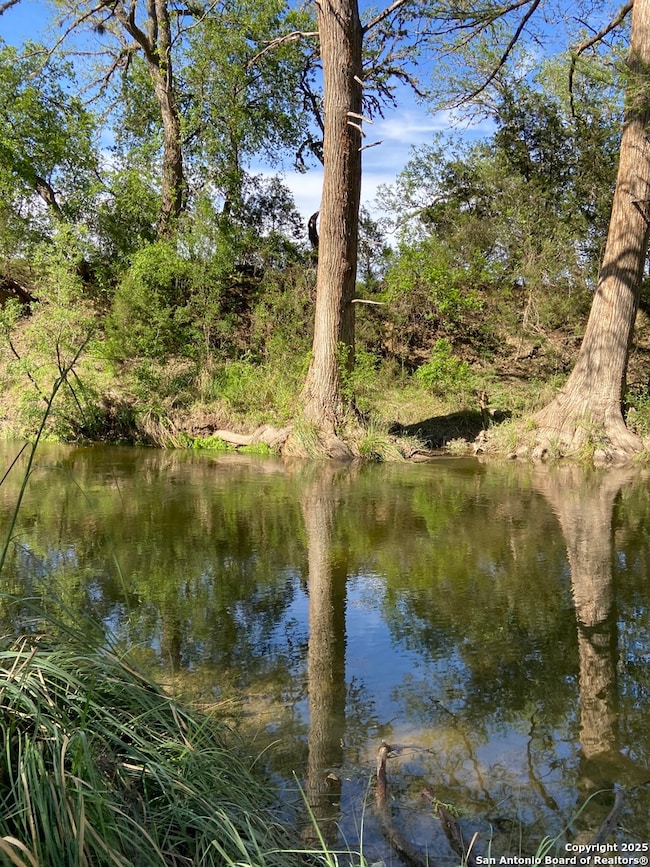 412 Lebouf Rd, Utopia, TX 78884 - photo 4