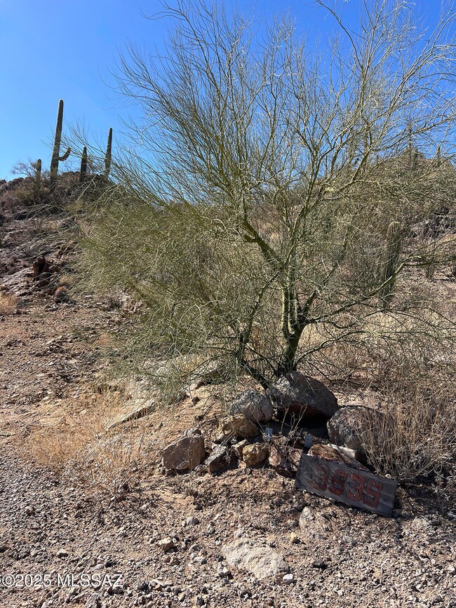3635 W Placita de La Tierra, Tucson, AZ 85746 - photo 5