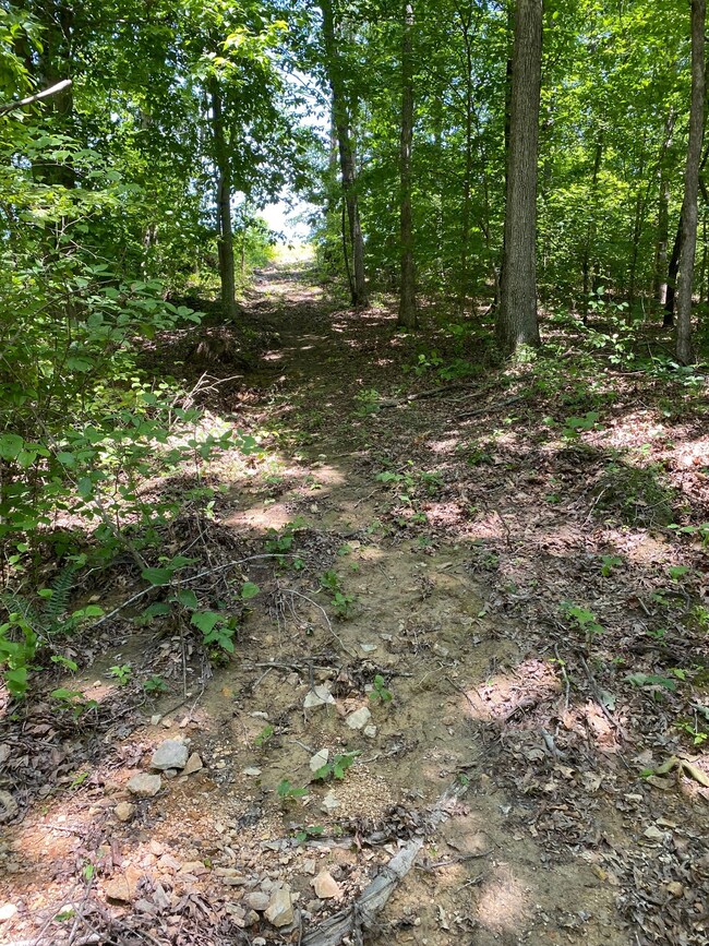 0 Mathis Cemetery Rd unit RTC2620108, Stewart, TN 37175 - photo 3