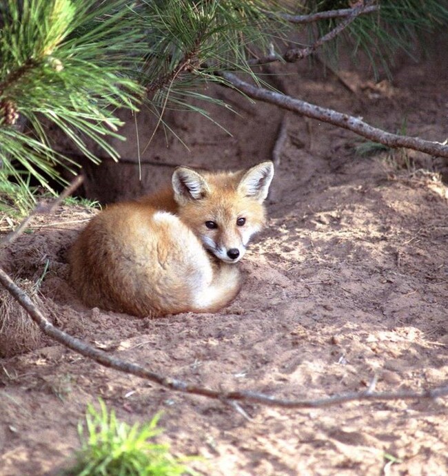 Kitchen with new Staintless steel appliances and a nice built in desk with a view of the golf course. All new fixtures and hardware.