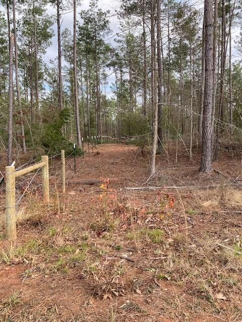 1915 Cr 620, Nacogdoches, TX 75964 - photo 2