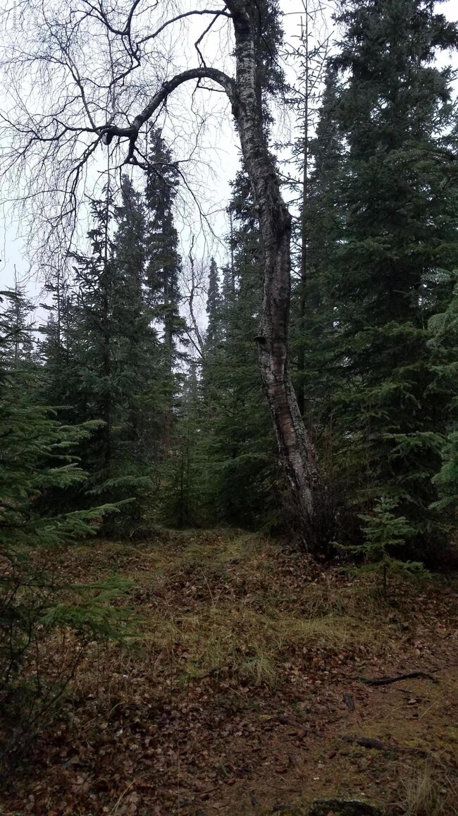 20171029_173625