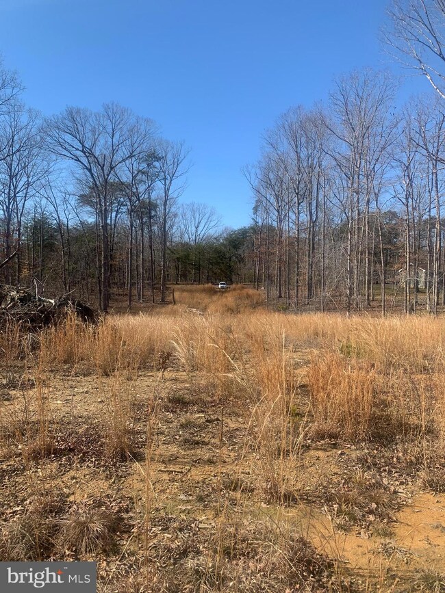 Lot C1 Cox Mill Rd, Orange, VA 22960 - photo 5