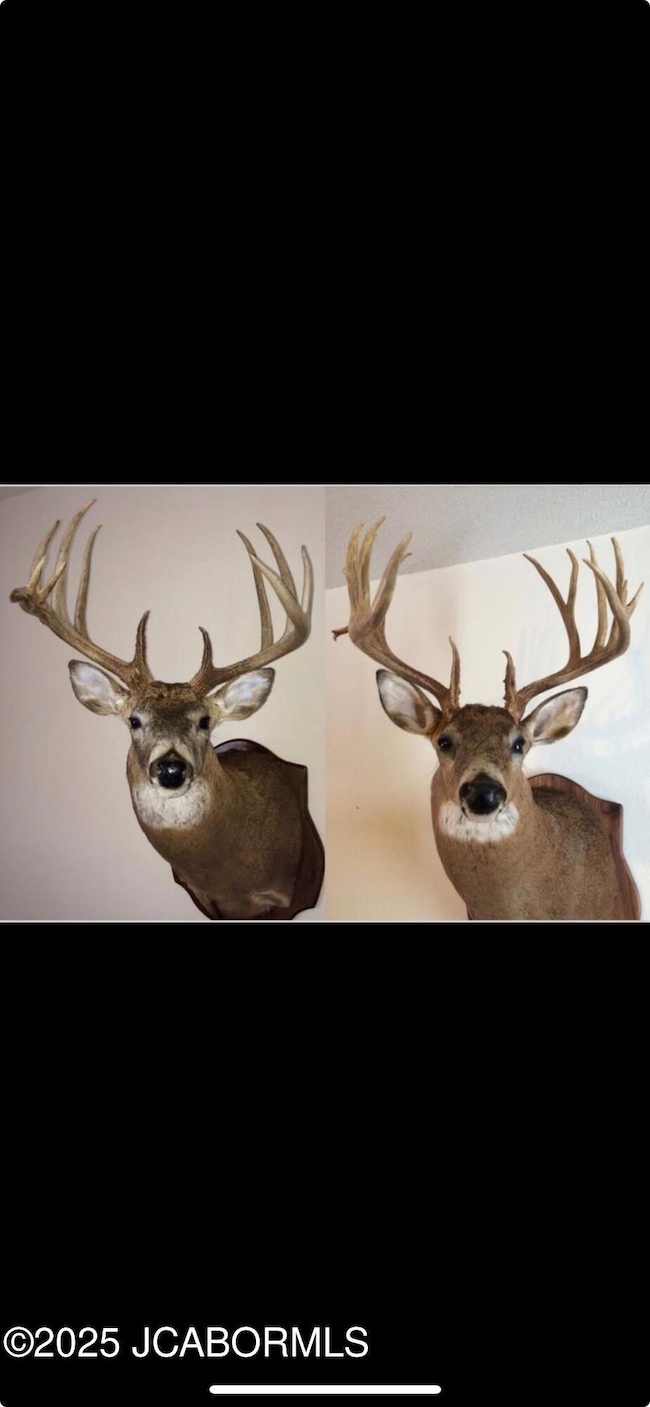 3312 Honey Creek Rd, Jefferson City, MO 65101 - photo 3