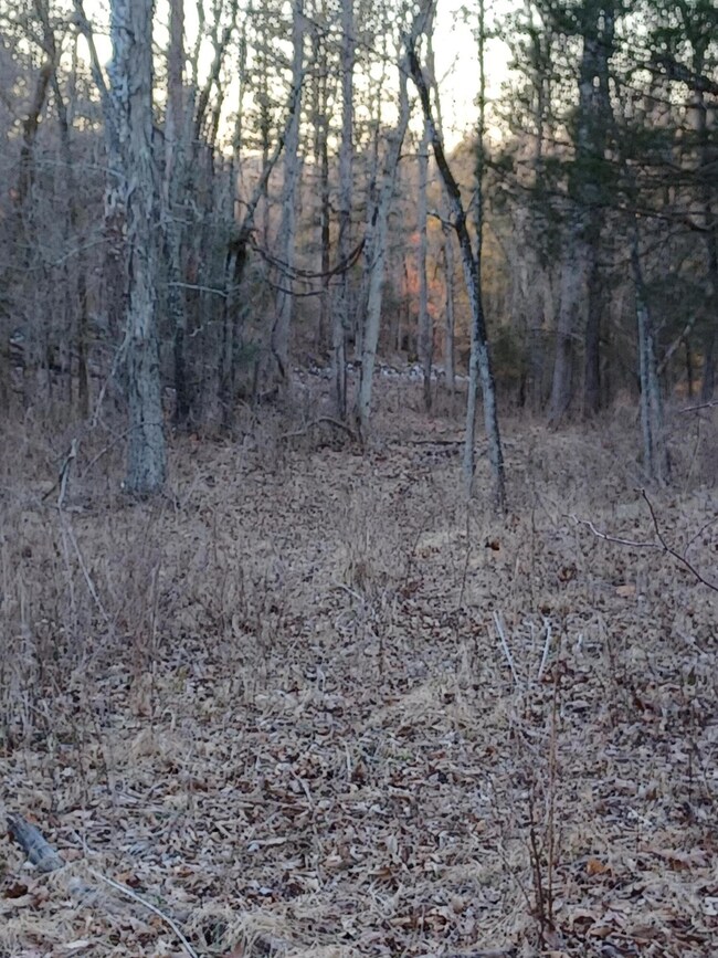 4699 Talmage Mayo Rd, Harrodsburg, KY 40330 - photo 7