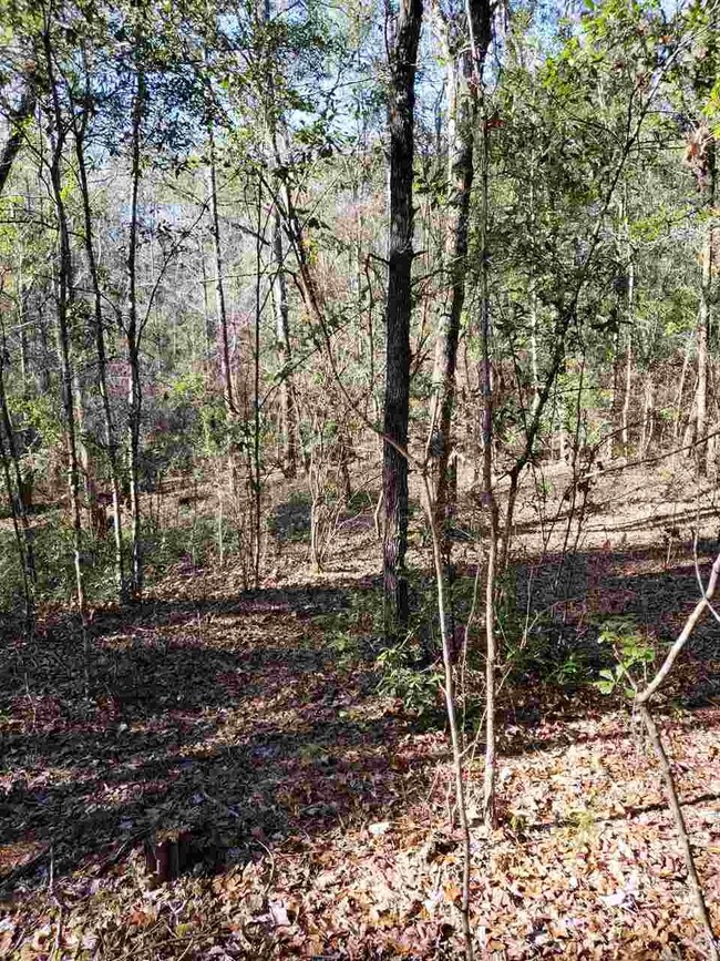 0 Decey Wallace Ln unit 301709, Crawfordville, FL 32327 - photo 2