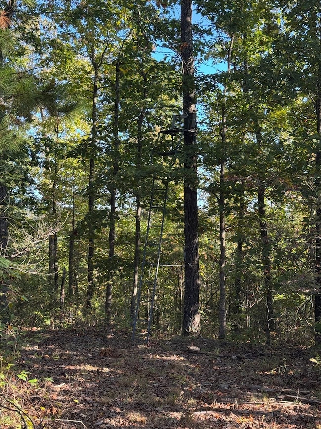 000 Hwy 9, Rushing, AR 72051 - photo 2