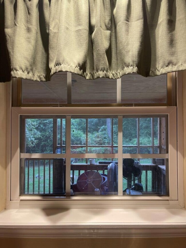 Kitchen Window outlooking backyard