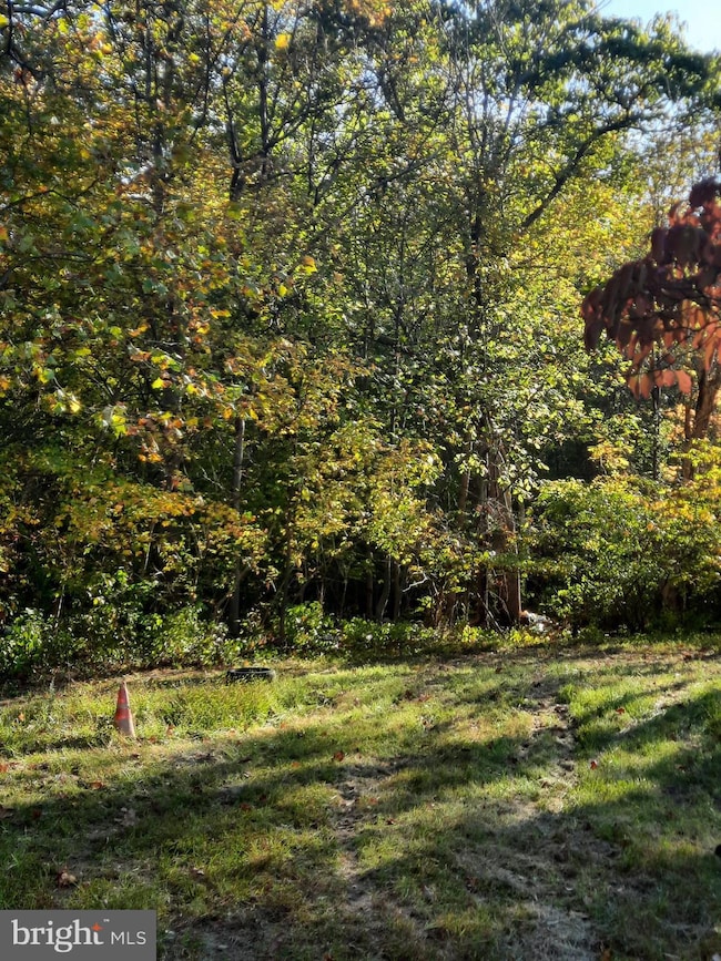 2950 Chaney Rd, Dunkirk, MD 20754 - photo 7