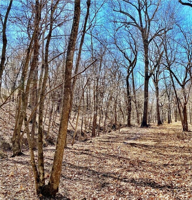 0 Off School House Rd unit 1210604, Siloam Springs, AR 72761 - photo 4