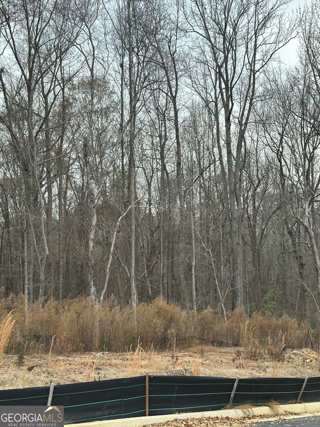 101 Edmondson Way, Stockbridge, GA 30214 - photo 7