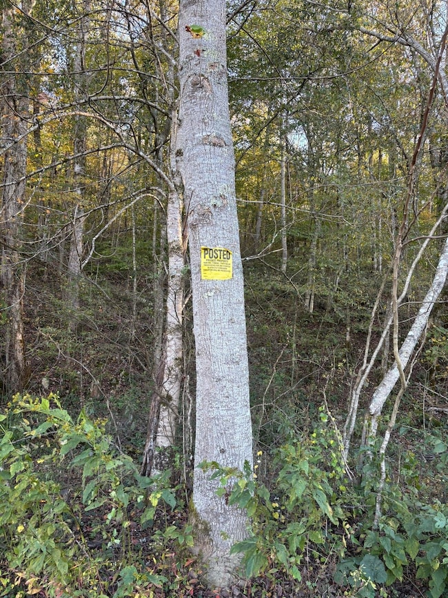 0 Calfkiller Hwy unit 25393188, Monterey, TN 38574 - photo 5