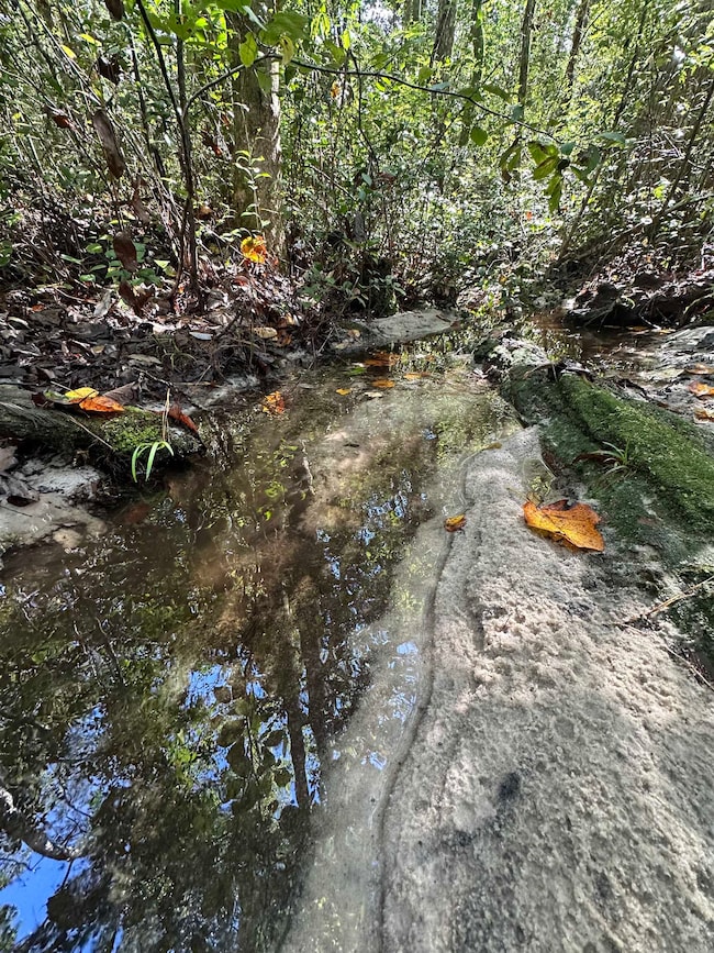 293 Hummingbird Ln, Ponce de Leon, FL 32455 - photo 5