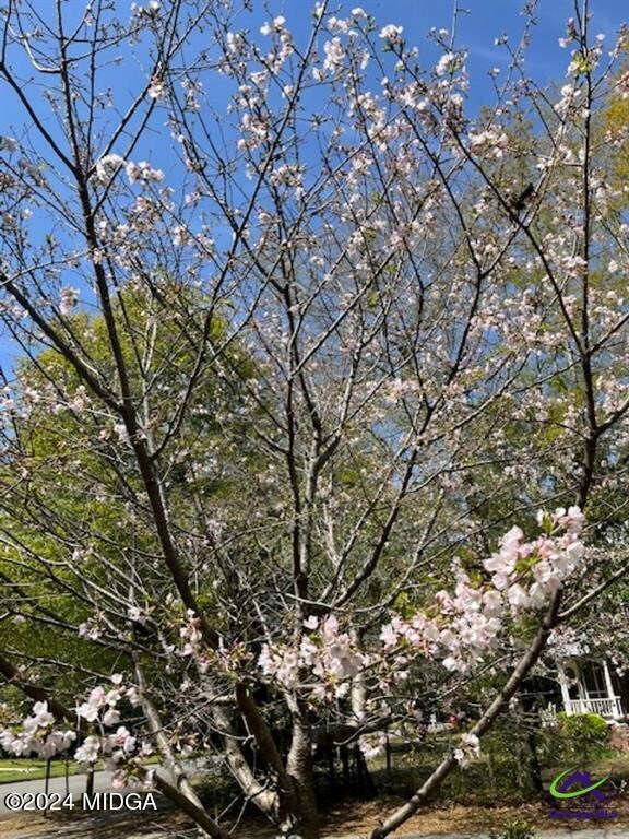 flowers3