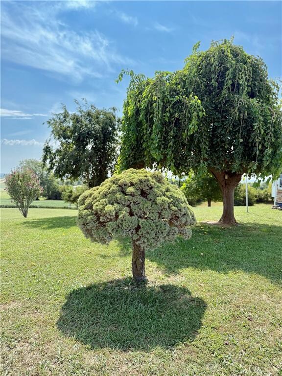 41759 W 88th St, Richmond, MO 64085 - photo 5