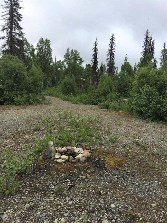 Denali Cabin 1