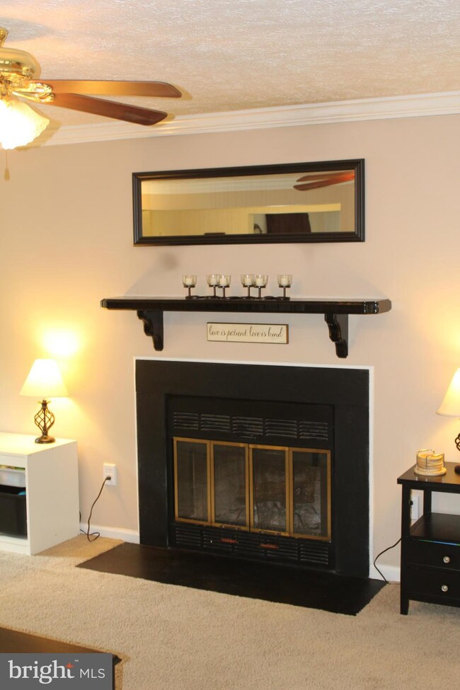 15072 Holleyside Dr, Dumfries, VA 22025 - photo 5