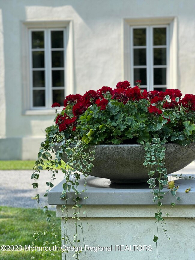 Flower Pot IMG_2641