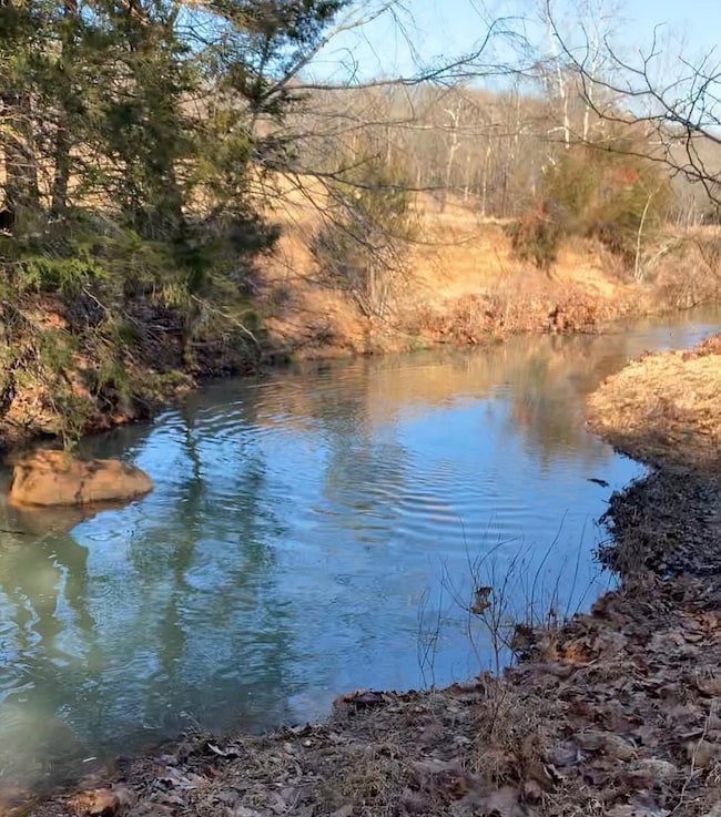 3013-3015 Possum Trot Rd, Ash Flat, AR 72513 - photo 2