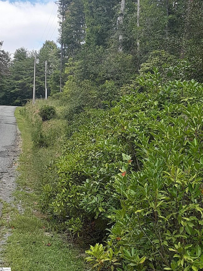 300 Feet of road frontage along Cassel Creek Road.