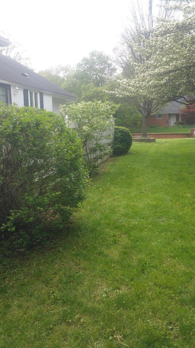 20160505_154951