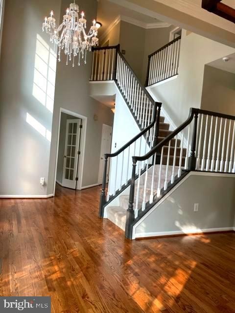 12503 Degas Ct, North Potomac, MD 20878 - photo 4