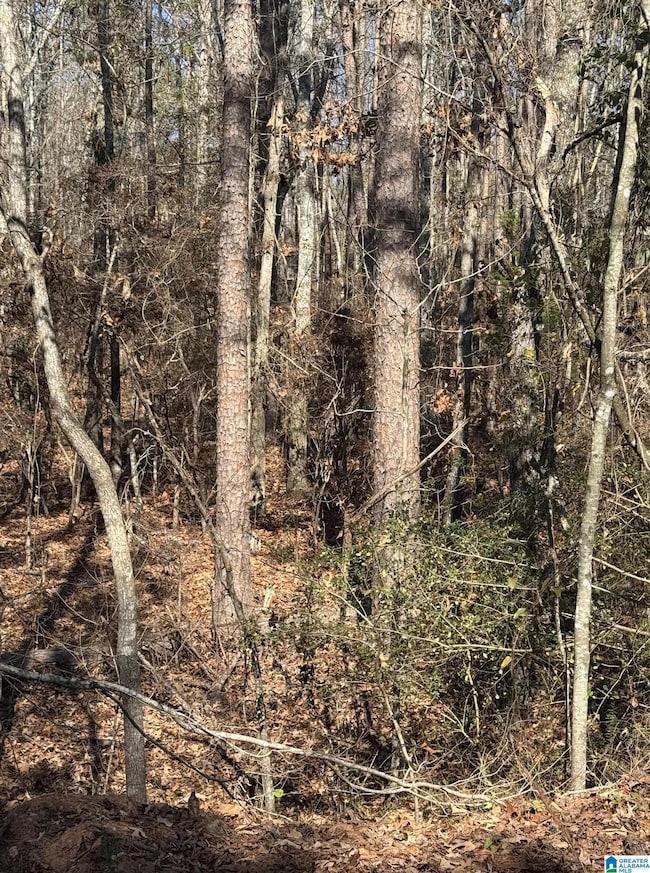 0 Arrowhead Dr unit 21437906, Delta, AL 36258 - photo 4