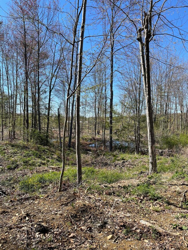 With Hardwoods left for wooded feel