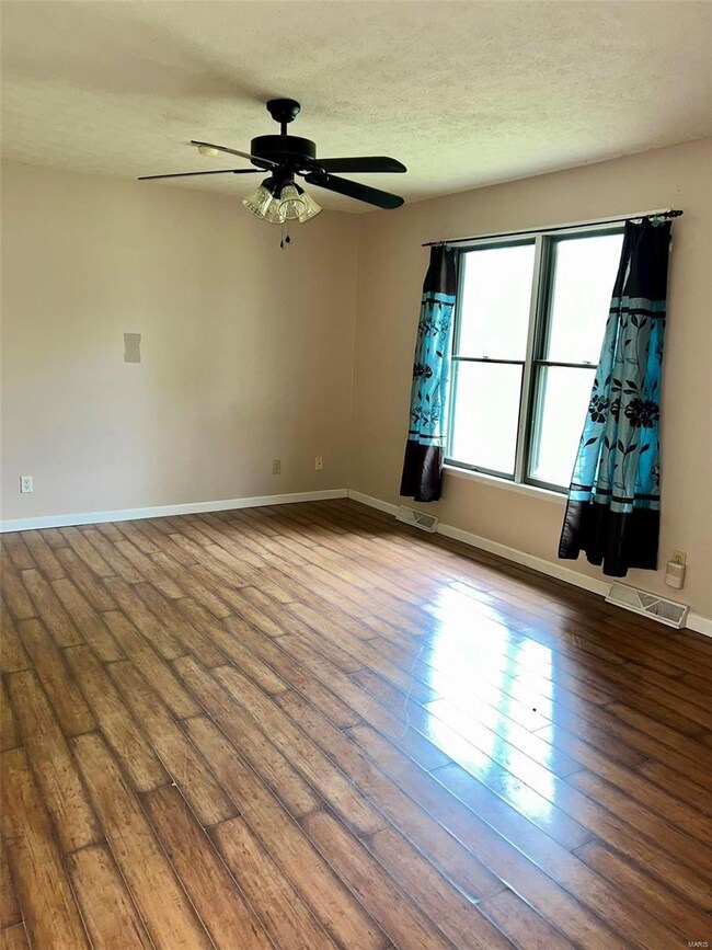 20055 Highway 28, Dixon, MO 65459 - photo 4