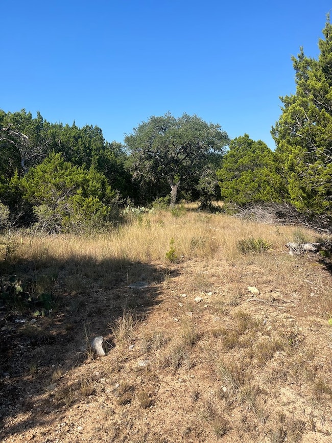 4223 Texas 173, Bandera, TX 78003 - photo 7