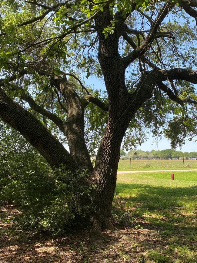 17810 Willow Run St, Hockley, TX 77447 - photo 3