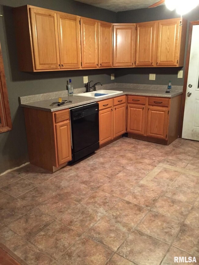 2118 E Buchanan St unit 1, Springfield, IL 62703 - photo 5