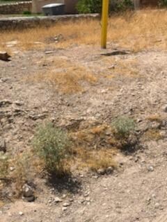 2411 Pittsburg Ave, El Paso, TX 79930 - photo 6