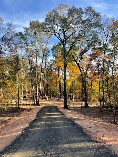 Entrance Driveway