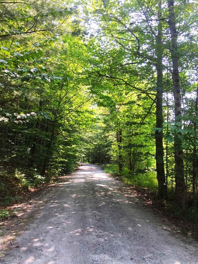 652 Rake Factory, Barnet, VT 05821 - photo 5