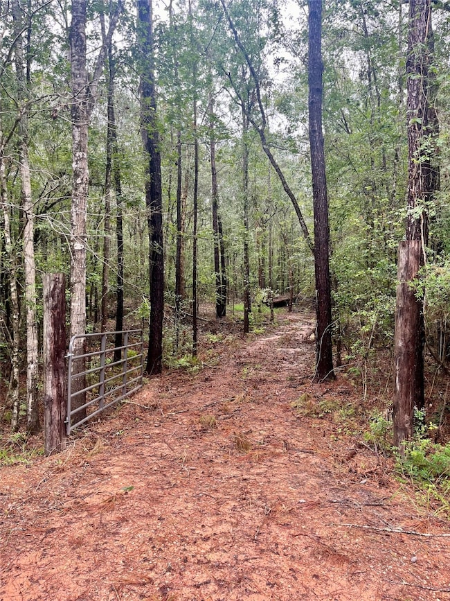 14471 Kyle Ln, Conroe, TX 77306 - photo 4