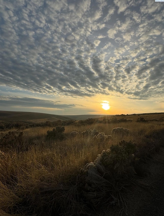 NKA E 973 Prairie SE, Kennewick, WA 99338 - photo 4