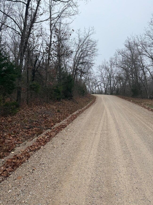 000 Pecan Dr, Grovespring, MO 65662 - photo 7