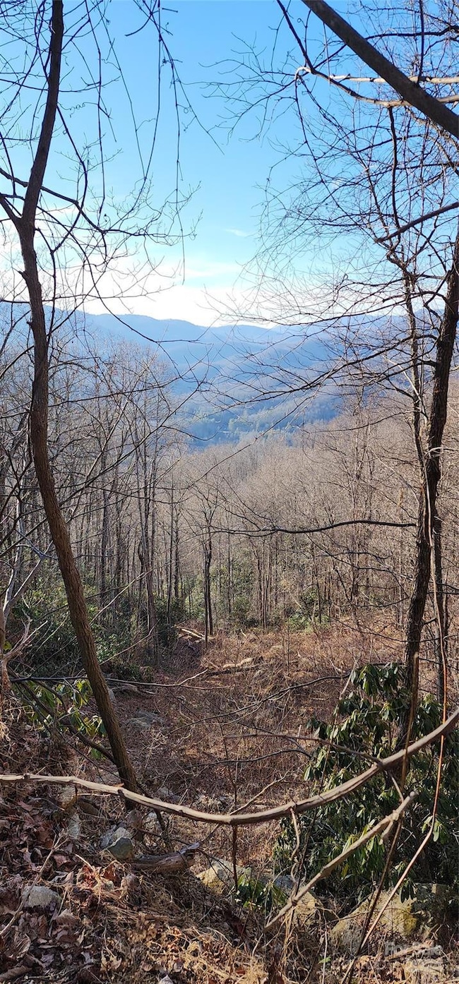 9999 Still Spring Rd unit Lot 4, Black Mountain, NC 28711 - photo 2