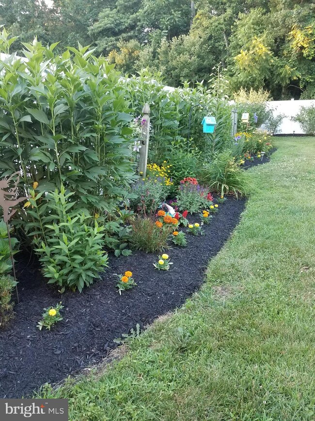 8 Franklin Ave, Berlin, NJ 08009 - photo 5