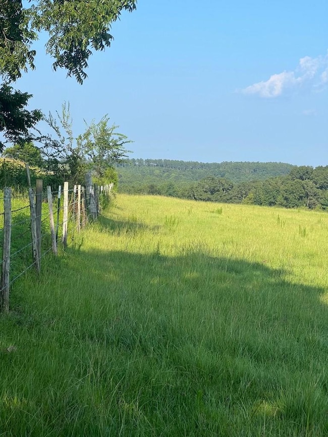 0 53 Hwy unit 24327, Clio, AL 36017 - photo 7