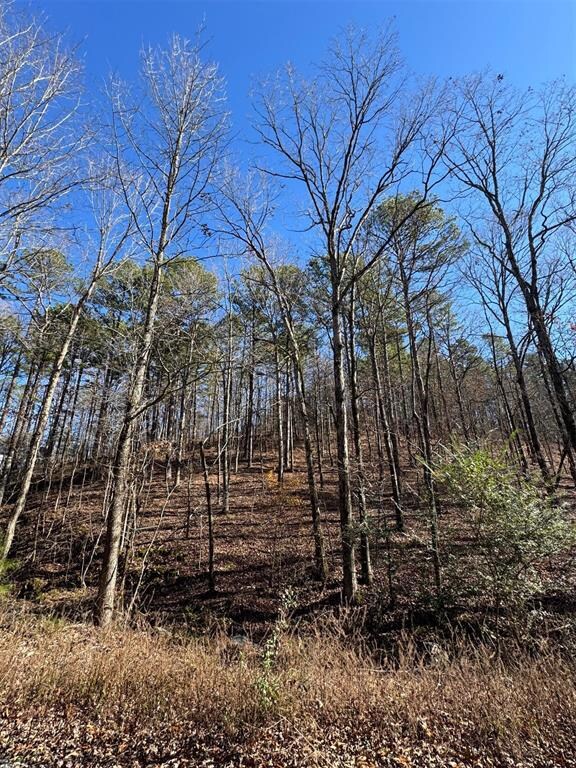 158 Western Maple Trail, Broken Bow, OK 74728 - photo 5