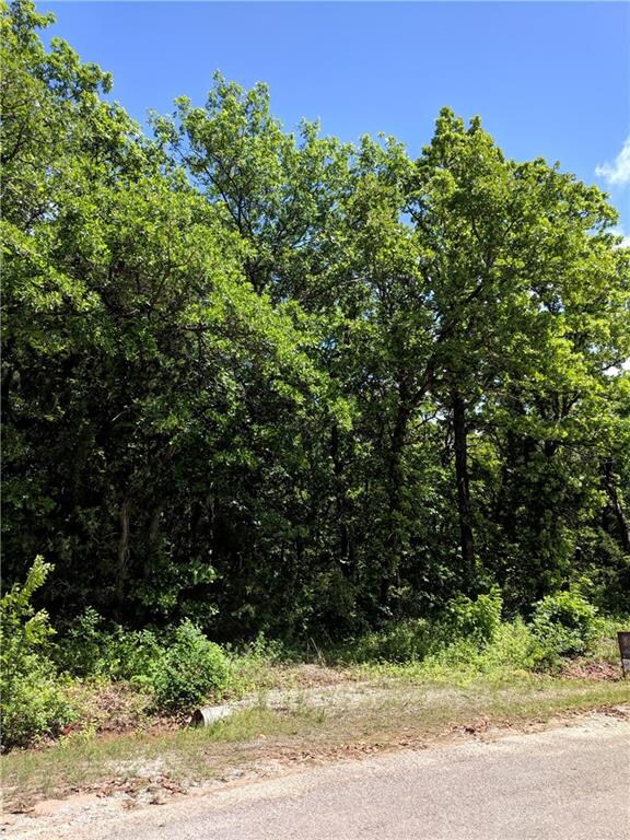 unlisted-address, McLoud, OK 74851 - photo 3