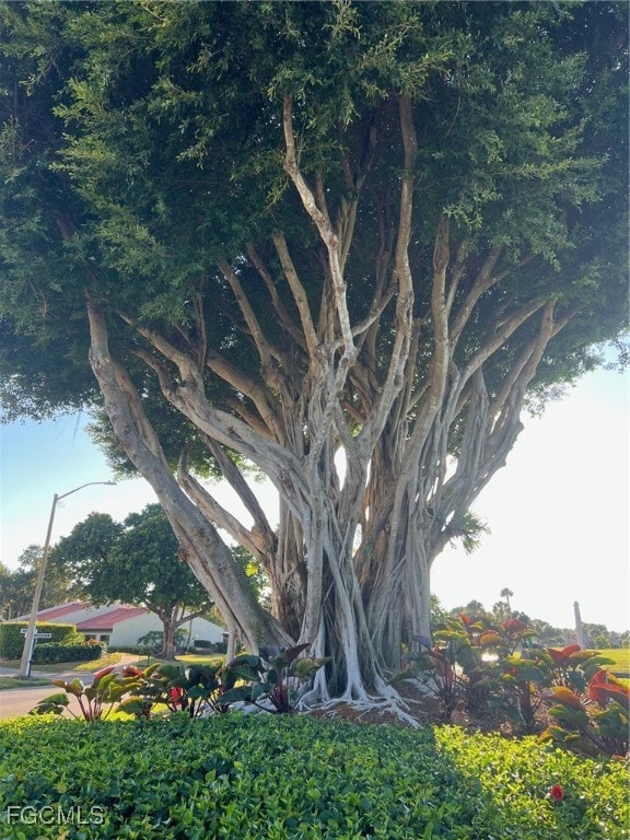 4100 Steamboat Bend E unit 501, Fort Myers, FL 33919 - photo 7